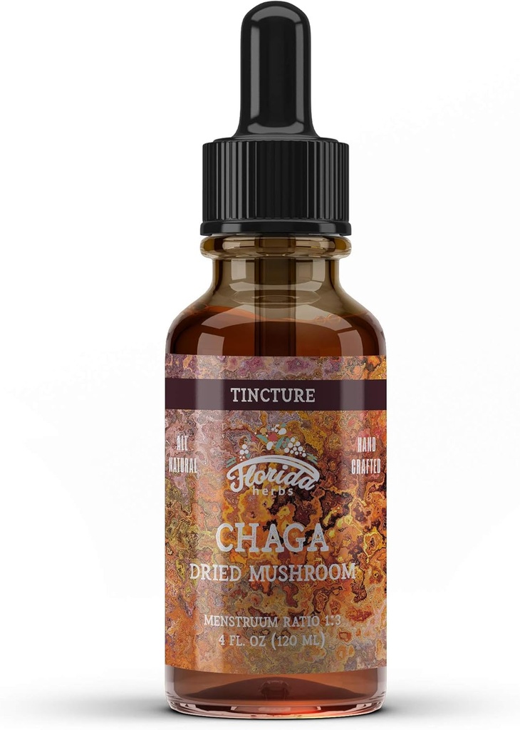 Teinture de Chaga, extrait de Chaga sauvage récolté (Inonotus obliquus) Champignon séché