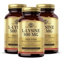 Solgar L-Lysine 500 mg - 100 capsules végétales, boîte de 3 - Support pour la peau et les tissus - Non-OGM, Vegan, Casher, Sans gluten - 300 portions totales