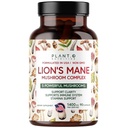Plant.O Premium Lion's Mane Supplement, All Natural Nootropics Cerveau Supplément, 5 Complexe Champignon – Lion, Reishi, Chaga, Maitake, Shiitake pour l'immunité, Focus, Mood & Memory Boost, 90 Caps