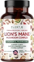Plant.O Premium Lion's Mane Supplement, All Natural Nootropics Cerveau Supplément, 5 Complexe Champignon – Lion, Reishi, Chaga, Maitake, Shiitake pour l'immunité, Focus, Mood & Memory Boost, 90 Caps