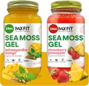 Sea Moss Gel Organic Raw (Bundle of 2 Jars 24oz) Ashwagandha Mango and Strawberry Pineapple Wildсrafted Gold Sea Moss Gel | 92 Vitamins and Minerals | Pure Raw+Non-GMO | Vegan Superfood