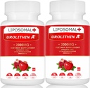 Liposomal Urolithin A Supplement 2000MG for Energy 120 Capsules