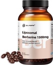 Supplément berbère liposomique 1500mg,Lipsomal Berberine HCL,Haute biodisponibilité,Support foie et santé cardiaque,AMPK Activateur pour les hommes et les femmes,Non-OGM,Sans gluten,60 Softgels