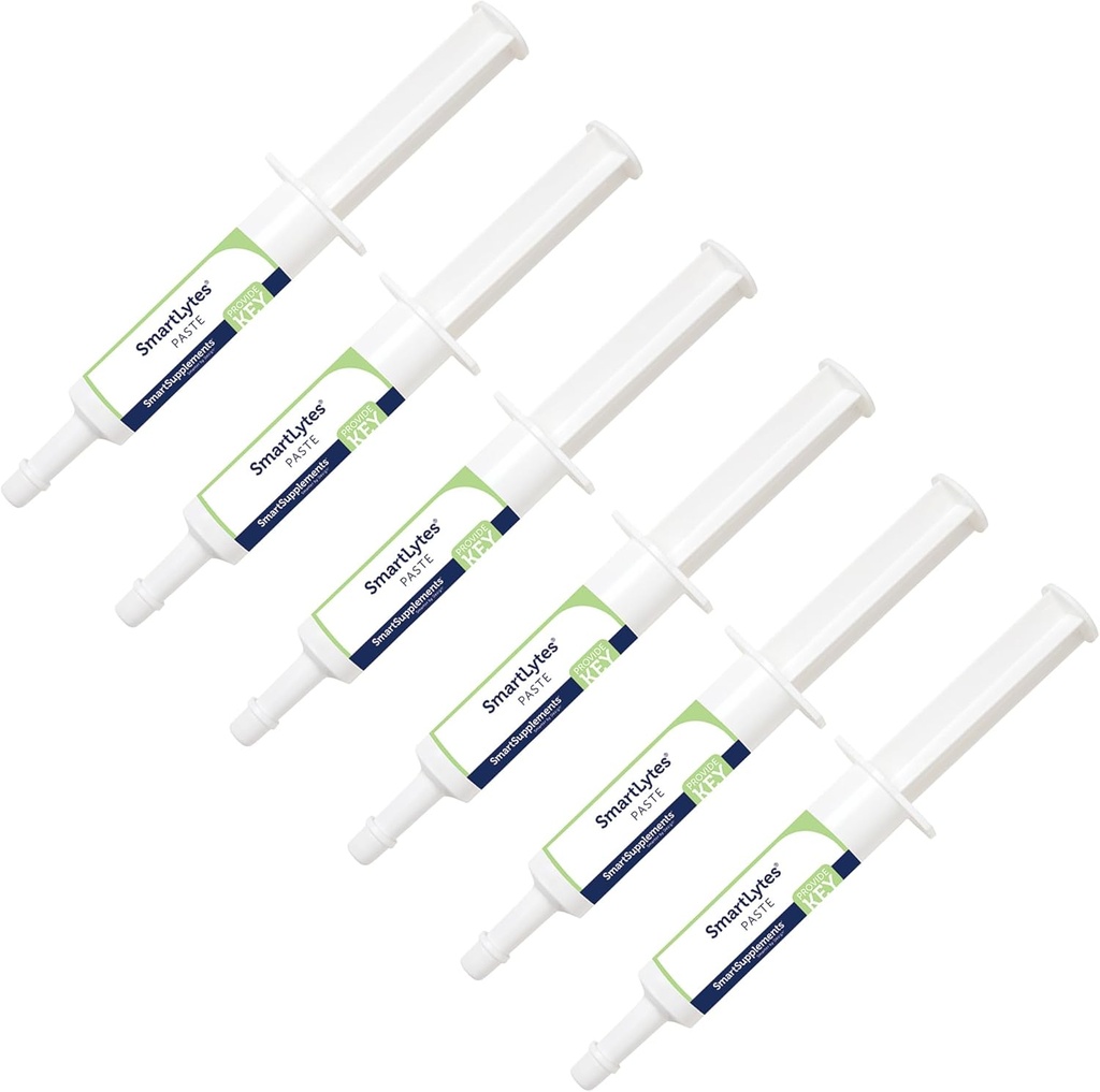 SmartLytes Pâte de Cheval Electrolyte Pâte d'Hydrate Encourage l'hydratation Réapprovisionne les Electrolytes