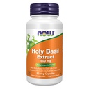 MAINTENANT compléments alimentaires, extrait de basilic saint 500 mg (le basilic saint est une plante sacrée en Ayurveda), 90 capsules de légumes