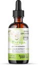 Bacopa Drops -Améliore la concentration de la mémoire, Focus - Bacopa Monnieri Extrait de Cerveau Supplément de mémoire Amélioration cognitive.