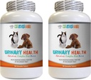 cat Urinary Tract Health - Animaux de compagnie Urinary Health Complex - pour les chiens et les chats - Support avancé de la vésicule - Pinces de canneberge pour les chats - 2 bouteilles (180 traites)