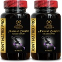 Complexe Matrice Conjointe PRO - Supporte les articulations, les genoux, le cartilage pour les hommes et les femmes, la glucosamine naturelle Chondroïtine avec MSM - Hip & Joint - 2 bouteilles