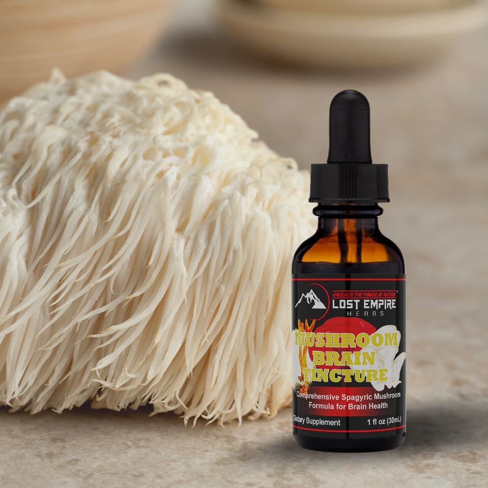 Lost Empire Herbes Champignon Cerveau Spagyric Teinture de Dual Extract of Lion's Mane, Cordyceps, Reishi, Oyster Mushrooms for Cognition (1 fl oz)