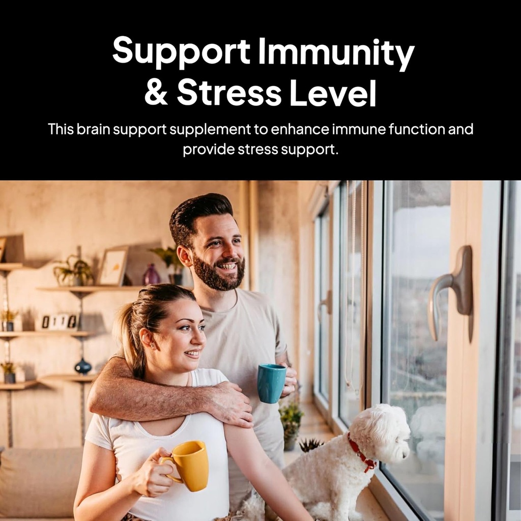 Doctor Morse's Brain & Nervous Systems Support - Soutien Immunity & Stress Level - Naturopathe Formulé Supplément Nootropique - Ginkgo Leaf, Gotu Kola, Astragalus Root & Butchers Broom - 90 Capsules