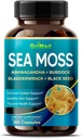 Mousse de mer premium avec Ashwagandha, Burdock Bladderwrack, Graine noire pour système immunitaire, peau, digestion et énergie- Fabriqué aux États-Unis (150 comte (paquet de 1))