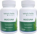 Tattva's Herbs Organic Mucuna Pruriens – L-Dopa naturel, soutien à la dopamine, végétalien et sans gluten - 240 capsules (2-pack)