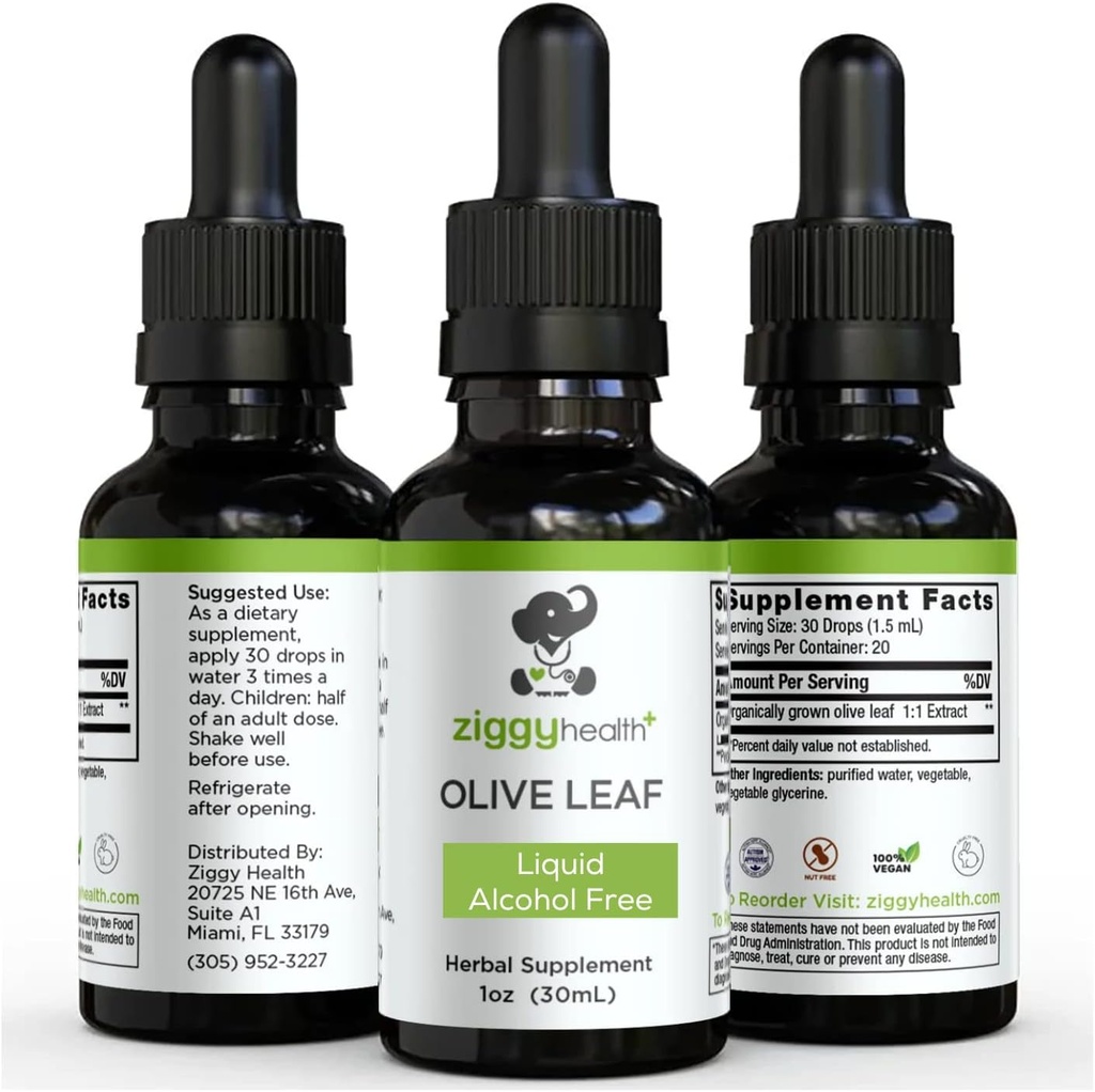 Olive Leaf Extract Liquid Tincture - Organic - Alcohol Free Dietary Supplement - Extra Strength - Cardiovascular and Overall Health Support - Vegan - 1 oz by Ziggy Health