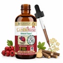 Rejuvica Health CardioVance - Supplément de soutien cardiaque - Livraison liquide pour une meilleure absorption - Hawthorne, Hibiscus, Arjuna, Olive Leaf & More!