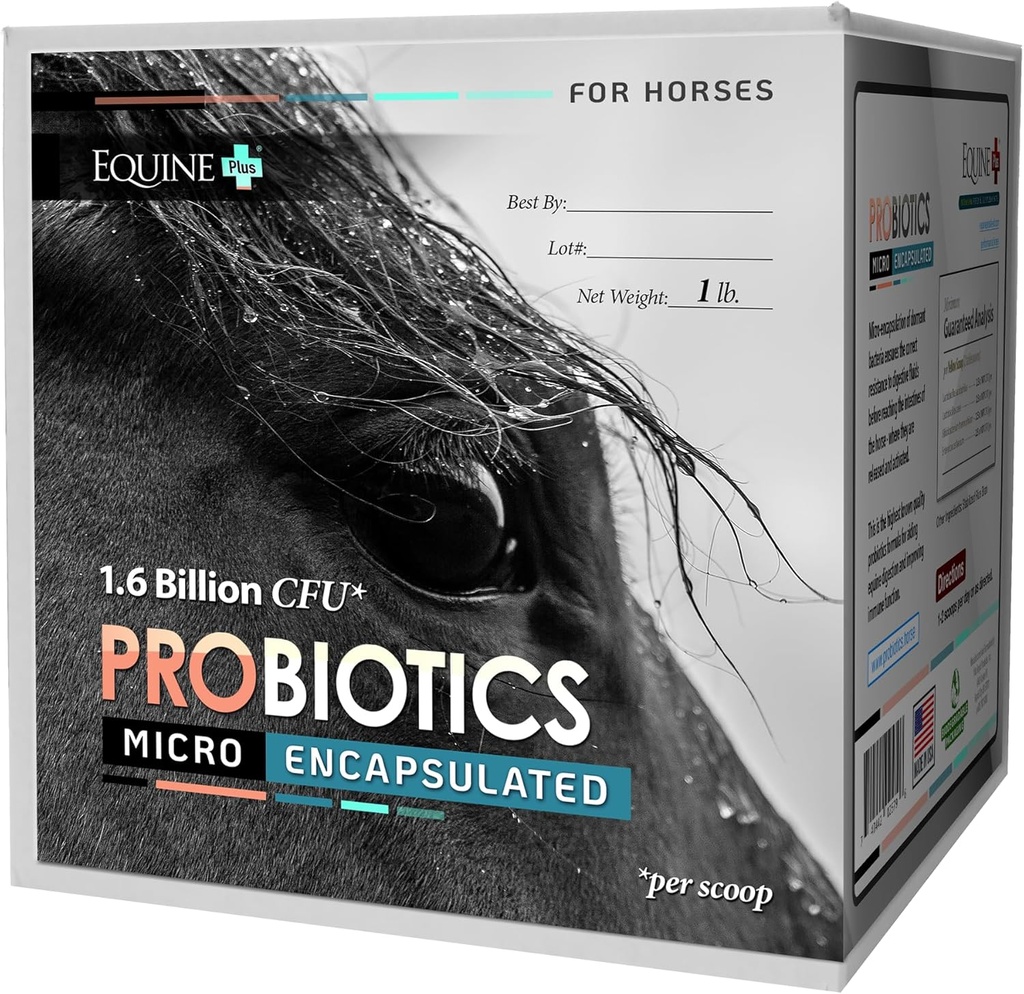 Probiotiques micro-encapsulés pour chevaux - Supplément de santé digestive à l'équine
