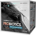 Probiotiques micro-encapsulés pour chevaux - Supplément de santé digestive à l'équine