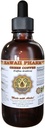Extrait liquide de café vert, café vert (Coffea Arabica) poudre de haricots supplément de teinture 4 oz