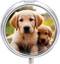 Pill Box 3 Compartiment Round Pill Organizer Daily Small Pill Case for Travel Cute Golden Retriever Puppy Metal Pill Container Portable Medicine Organizer for Pill Vitamines Fish Oil Supplement