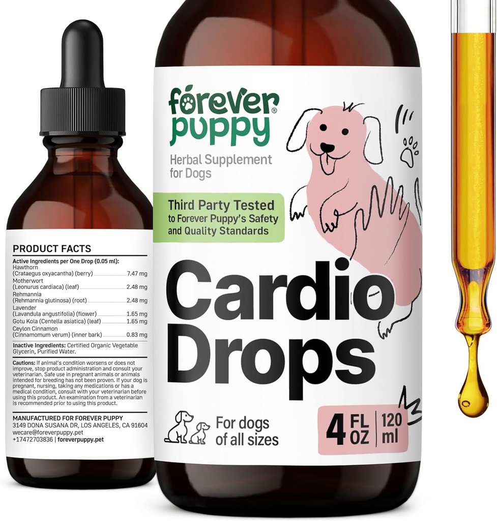 Pour toujours Puppy Cardio gouttes pour les chiens - Soutien cardiaque pour les chiens avec l'herbe de Berry & Motherwort Hawthorn - Supplément antioxydant liquide avec/Gotu Kola feuilles et extrait de lavande - 4 fl oz