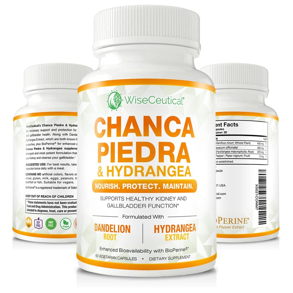 Max Strength Chanca Piedra, Hydrangea & Dandelion Racine - Formule Rein Naturel & Gallbladder - Breaker de Pierre, Impuretés Flush, Nettoyer le Trac Urinaire - Enhanced with BioPerine. 60 Capsules de Véggie.