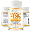 Max Strength Chanca Piedra, Hydrangea & Dandelion Racine - Formule Rein Naturel & Gallbladder - Breaker de Pierre, Impuretés Flush, Nettoyer le Trac Urinaire - Enhanced with BioPerine. 60 Capsules de Véggie.