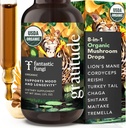 Fantastic Fungi Mushroom Extract - 8-en-1 Complément de champignons organiques complexes avec Cordyceps, Reishi, Lion, Mane, Chaga, Turquie Tail, Shiitake, Maitake & Tremella - Teinture liquide adaptogène, 1 fl oz