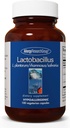 Allergy Research Group Lactobacillus Supplement - Probiotiques pour les hommes et les femmes, santé digestive, santé gustative, capsules végétariennes - 100 Compte