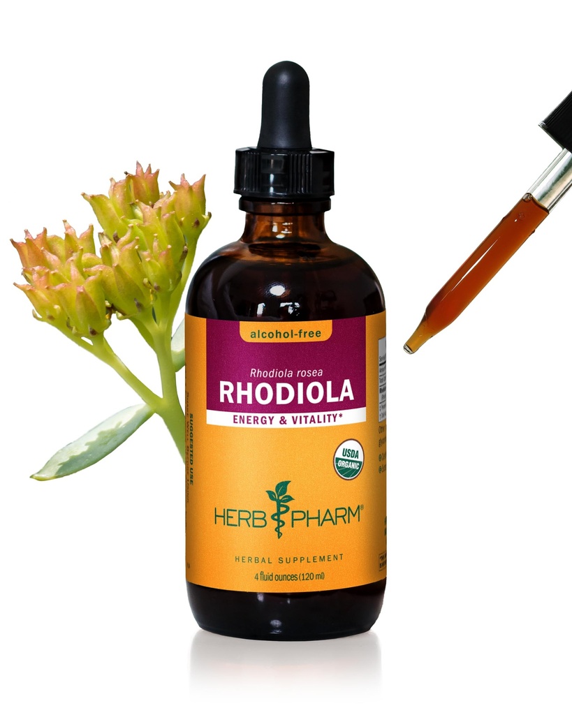 Extrait de racine de Rhodiola biologique certifié Herb Pharm pour l'énergie, l'endurance et l'endurance, glycérite sans alcool, 4 once