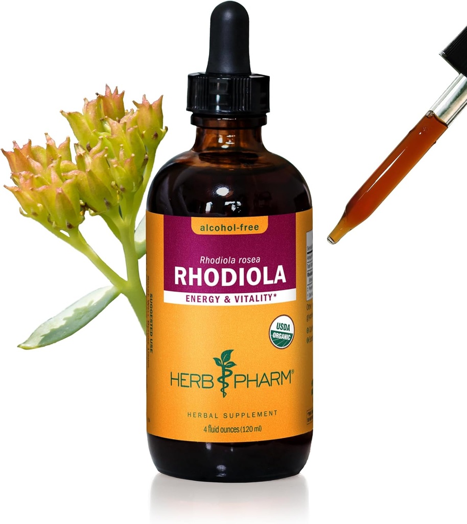 Extrait de racine de Rhodiola biologique certifié Herb Pharm pour l'énergie, l'endurance et l'endurance, glycérite sans alcool, 4 once