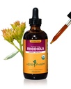 Extrait de racine de Rhodiola biologique certifié Herb Pharm pour l'énergie, l'endurance et l'endurance, glycérite sans alcool, 4 once