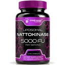 Nattokinase Supplement Capsules 5000 FU, Nattokinase testée en troisième partie – Enzymes de Natto japonais – Soutien au mieux-être quotidien – 120 Compte (paquet de 1)