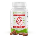 Pure Care Pro Synergistic Cholestérol Support Blend: Riz de levure rouge, Policosanol, Graines de raisin et Lespedeza – 60 Capsules végétariennes