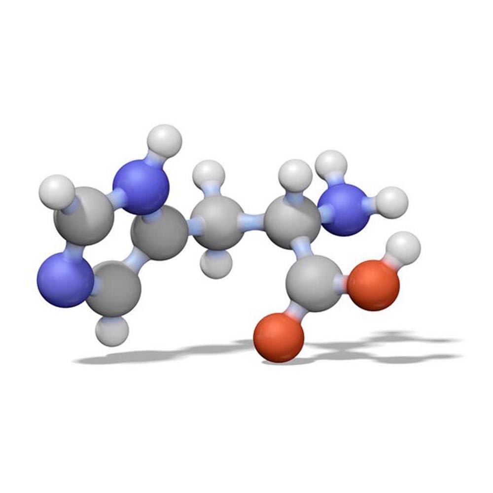545060-25GM Calbiochem Pyridoxal, chlorhydrate, 25 g