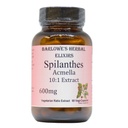 Spilanthes Acmella Extract , 600mg Par Capsule , Supplément à base de plantes pour le bien-être naturel et l'équilibre , 60 Capsules végétaliennes , sans stéarate , verre embouti pour la fraîcheur