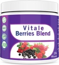 Go Nutra Antioxidant Berries Blend Superfood Smoothie Powder with Acai Maqui Goji & More Nutritional Boost Smoothie Mix 8oz