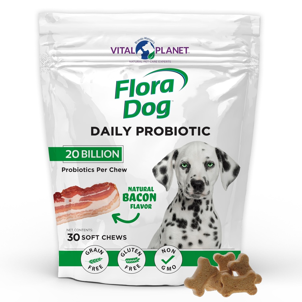 Planète Vital - Probiotiques de chien de Flora, Supplément de Chews de chien avec 20 milliards de cultures et 11 souches, Immune et soutien digestif Probiotiques à mâcher pour chiens, 30 sucettes douces au bacon naturel