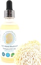 Lion biologique de la Mane Mushroom Teinture d'alcool – Santé holistique – 2 oz double extrait, triple-Micron filtré fournir la clarté supérieure et la pureté.