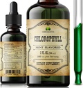 Chlorophyll Liquid Drops – Détox naturel organique & Cleanse Support – Boost Energy, Immunity & Metabolism – Vegan, Non-OGM, Mint Flavor, 2 fl oz – Extrait de chlorophylline de cuivre de sodium – Fabriqué aux États-Unis