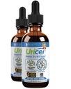 Uricel - Supplément avancé d'aide et de nettoyage à l'acide Urique - Livraison liquide pour une meilleure absorption - Tart Cherry, Chanca Piedra, Celery Seed, Turmeric & More!