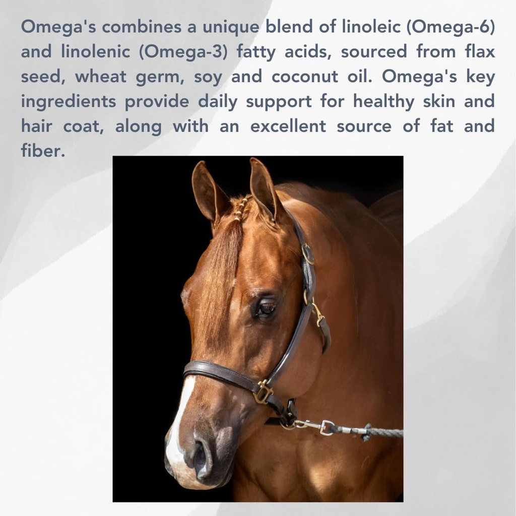 Omega (25 lb) Un soutien en manteau sain pour les chevaux