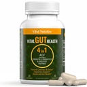 Formule Vital Gut Health 4in1 avec vinaigre de cidre de pomme, prébiotiques et probiotiques, enzymes digestives pour un soutien immunitaire fort et un soutien complet Gut et digestion