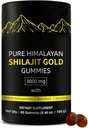 Gummies de Shilajit: Alpha Gummies pour les hommes: Lab Tested I No Added Sugar: Ashwagandha, Gokshura: Acid Fulvic & 85+ Trace Minerals pour les hommes, les femmes: Non-GMO: 60 Gummy