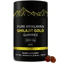 Gummies de Shilajit: Alpha Gummies pour les hommes: Lab Tested I No Added Sugar: Ashwagandha, Gokshura: Acid Fulvic & 85+ Trace Minerals pour les hommes, les femmes: Non-GMO: 60 Gummy