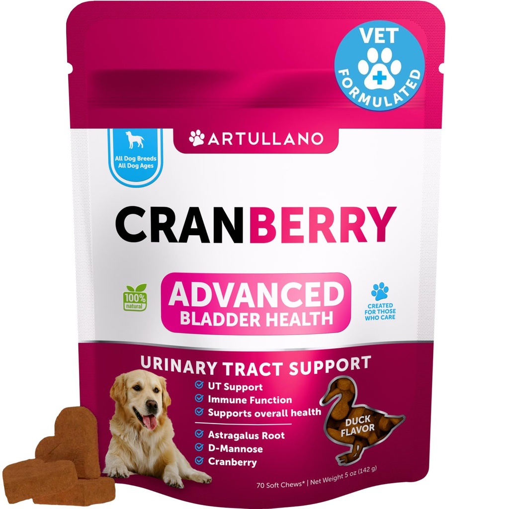 Traitement de l'ITU pour chien - Supplément de canneberge et contrôle de la vésicule pour chiens - Pilule d'incontinence urinaire, Pierres de vésicule - traités de médecine de l'ITU - 70 chews doux pour le soutien du rein avec l'huile de poisson