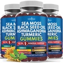 Mousse de mer Gummies, Mousse de mer, Graines noires, Ashwagandha, Turmeric, Manuka Honey, ACV, Dandelion, Pepper noir, Burdock, Bladderwrack, Vegan- 180 Comte