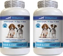 Manteau santé pour chiens Alimentation - Complexe des cheveux et des manteaux pour chiens - Soulagement avancé de la peau - Bon pour les ongles - Chiens Vitamines pour cheveux - 2 bouteilles (120 comprimés)