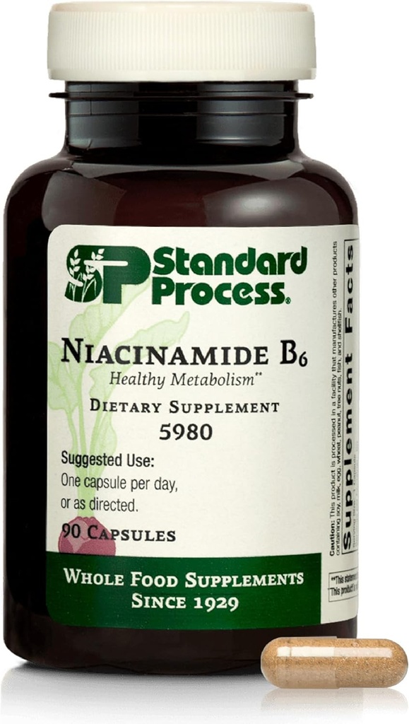 Processus standard Niacinamide B6 - Soutient le métabolisme énergétique et le système nerveux Santé - Aide le flux sanguin et la santé digestive avec Niacin et vitamine B6 - Non-Dairy - 90 Capsules