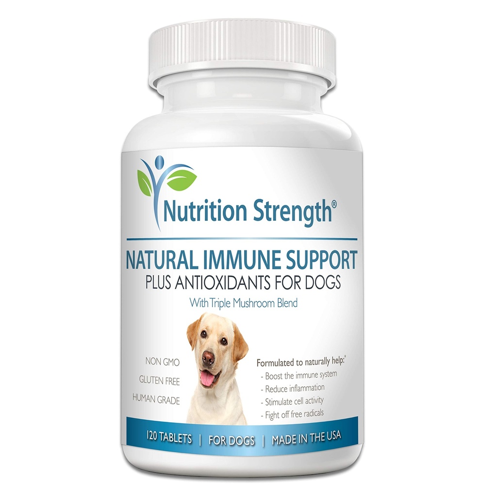 Soutien immunitaire pour chiens plus antioxydants, Reishi, Shiitake, Maitake, Turkey Tail Champignons pour chiens, avec Coenzyme Q10, Sélénium, Vitamine A, 120 comprimés à croquer