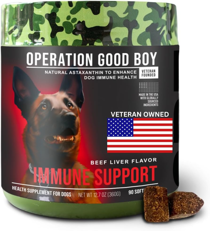 Operation Good Boy Immune Support Supplément pour chiens, Vitamine C Chews – 90 Soft Treats, ingrédients naturels, vétérans possédés, boeuf aromatisé