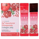 Rg+ grenade collagène Jelly(20gx14stick) / Anti-âge Coréen-Beauté /360DA Collagène marin + Vitamine C et E Ginseng Concentré pour le soutien immunitaire, la peau, les cheveux, les ongles et les articulations (14)